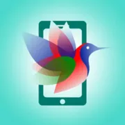 Ko Mercado La Habana